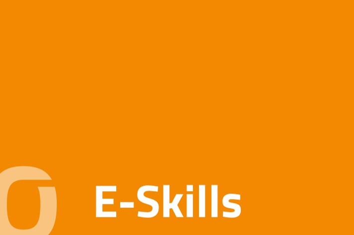 E-Skills